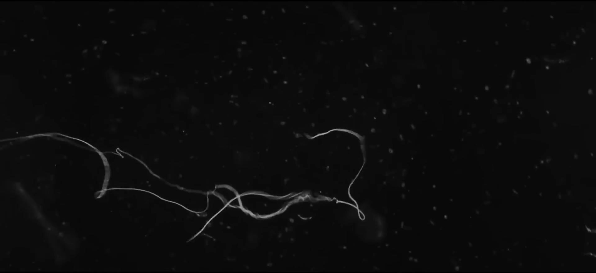 DNA strings curling into spirals