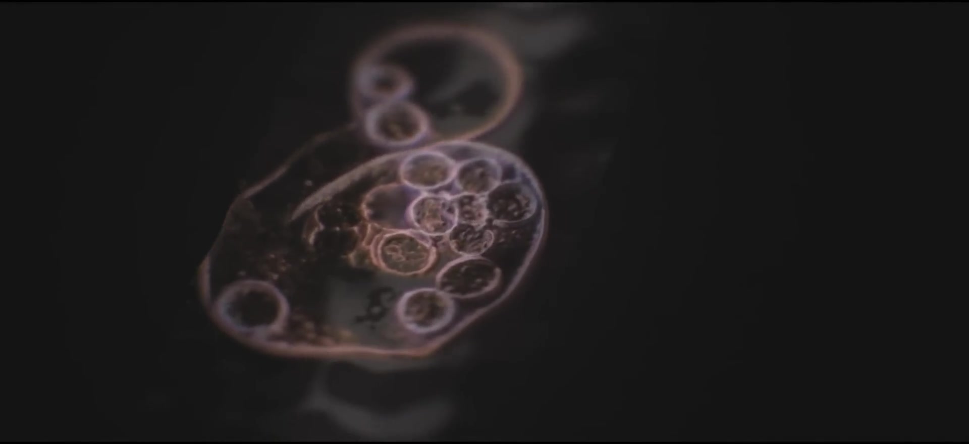 Capsules with protrusions for movement