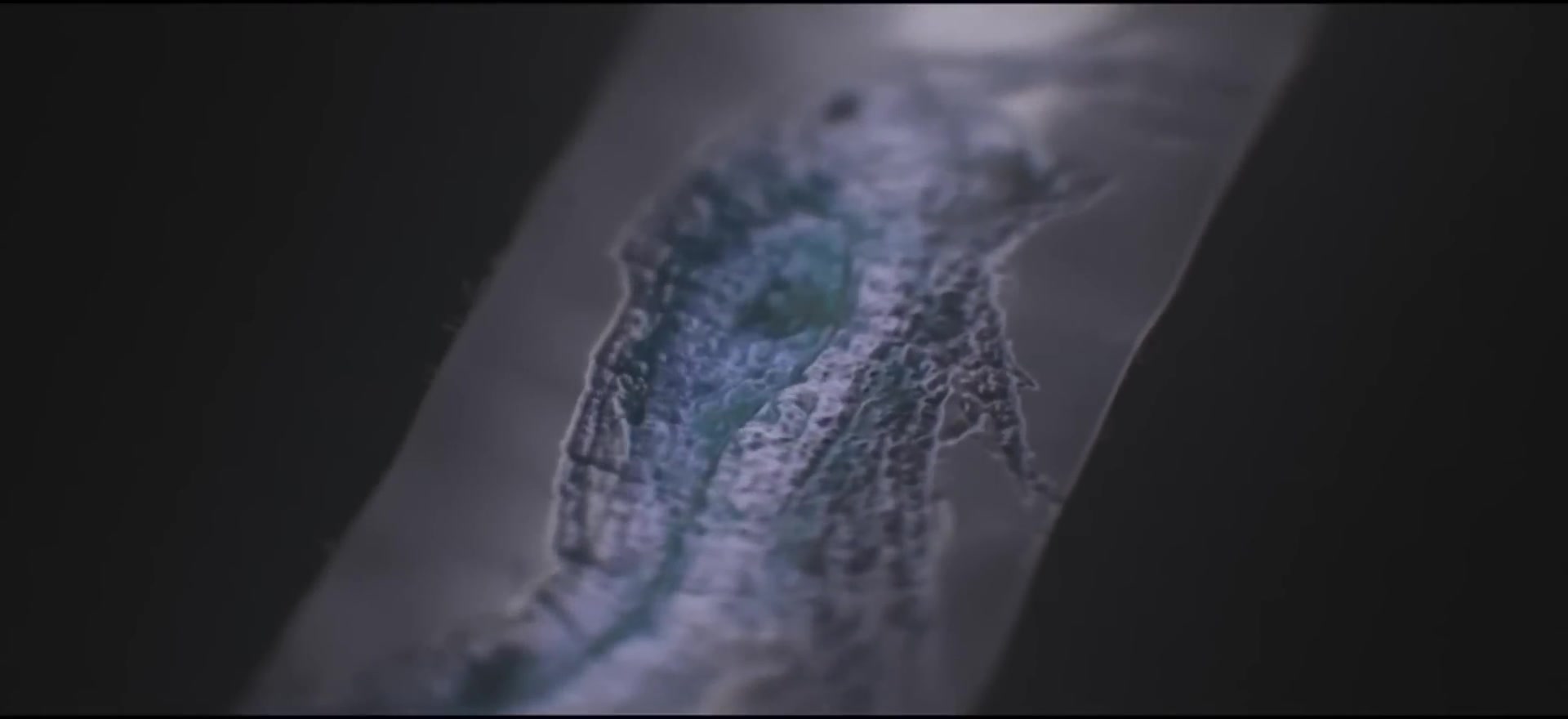 Early cells with membrane boundaries