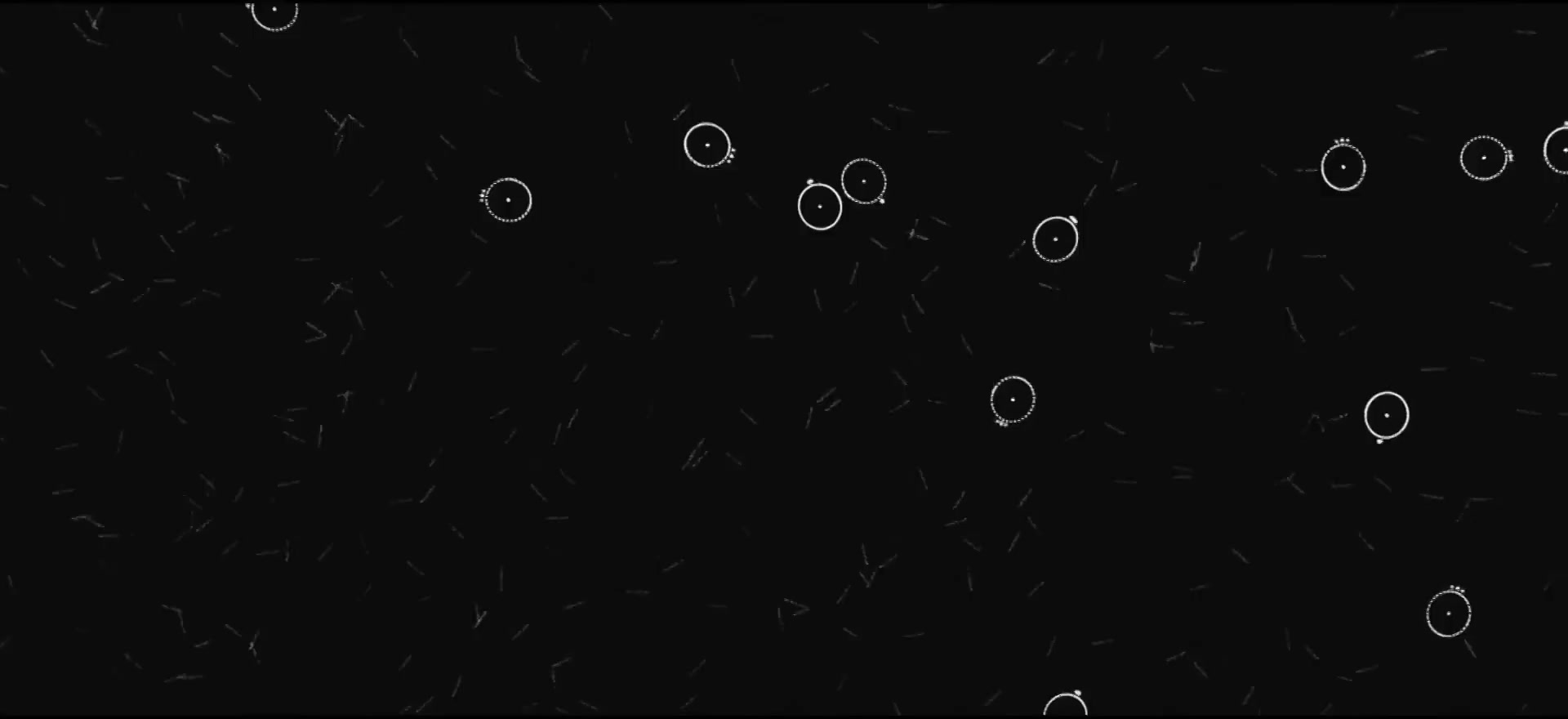First stable clusters