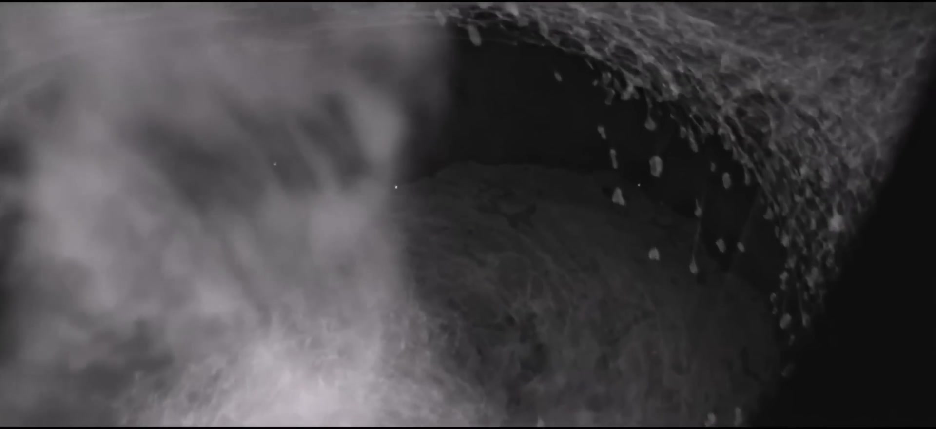 First visible structures