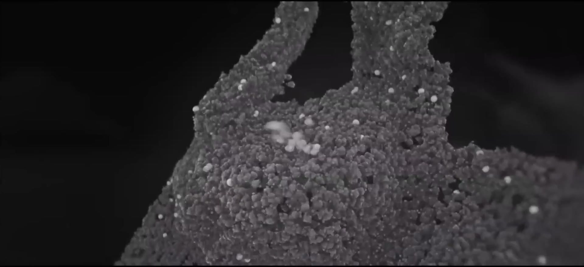 Fatty acids atomic spikes