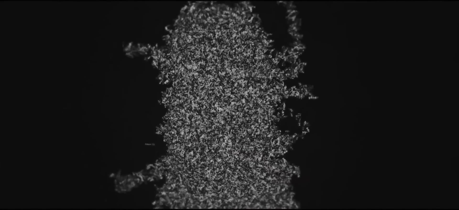 Chromosome formation